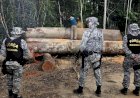 Governo prorroga uso da Força Nacional na Amazônia