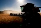 Indústria prevê alta de 10% na venda de máquinas agrícolas em 2020