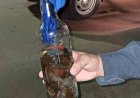 Polícia detém homem com armas incendiárias improvisadas, no Careiro da Várzea