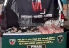 Em fiscalização ambiental na zona sul, PMAM apreende 900 quilos de pescado ilegal