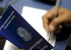 IBGE: desemprego cai para 11,6% em novembro