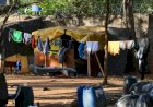 Reorganização do Bolsa Família é prioridade do Desenvolvimento Social