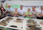 Wilson Lima anuncia doação de 300 toneladas de peixe para instituições assistenciais na Semana Santa