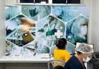 Maternidade Ana Braga amplia serviços com restruturação de laboratório