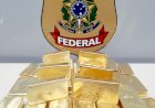 Ação conjunta entre PF e PM/AM resulta em grande apreensão de ouro