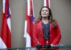 Deputada Alessandra Campêlo propõe ‘Serasa da Violência contra a Mulher’ para evitar novas vítimas