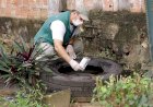 Combate à dengue: cuidar da saúde, evitar automedicação e combater criadouros do mosquito são condutas fundamentais