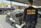 PF prende quatro pessoas e apreende 3,7 Toneladas de drogas em Tabatinga