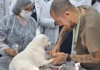 Julho Dourado alerta para importância da vacinação e check-ups veterinários dos pets
