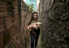 Aprovado PL de Joana Darc que aplica perda da guarda do animal ao tutor por crime de maus-tratos