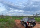 PF combate ao desmatamento ilegal, grilagem de terras e lavagem de dinheiro no Amazonas