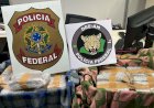 PF prende mulher com 23 kg de maconha no aeroporto de Manaus