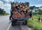 Operação Região Metropolitana: Ipaam apreende caminhão e lenha transportada sem documentação na AM-070