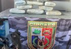 Base Arpão 2: Polícia encontra maconha do tipo skunk escondida em caixas com peixes e açaí