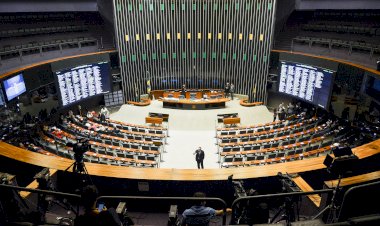 Deputados querem que ministro do Meio Ambiente explique combate às queimadas no Pantanal