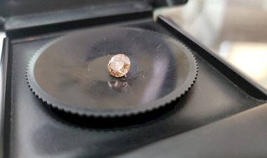 PF desarticula organização criminosa envolvida em tráfico de diamantes