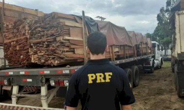 PRF apreende aproximadamente 267 m³ de madeira ilegal na BR 174
