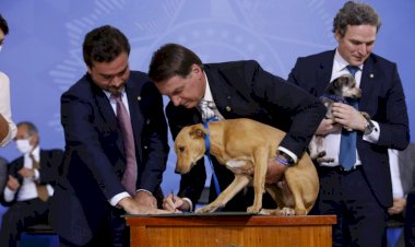 Sancionada lei que aumenta punição para maus-tratos de animais