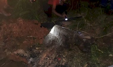 Amazonas teve mais de 10 mil mortes violentas nos últimos nove anos