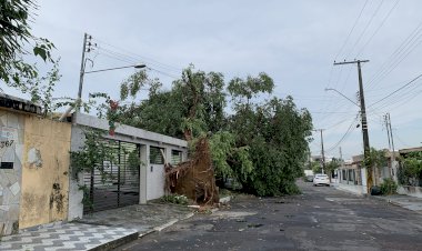 Forte chuva causa estragos em Manaus