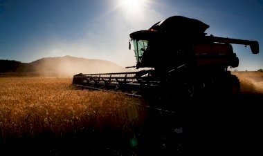 Indústria prevê alta de 10% na venda de máquinas agrícolas em 2020