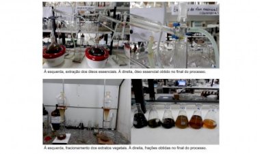 Pesquisa busca estratégia para conter proliferação de mosquito da malária