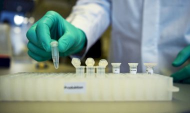 Alemanha tem recorde de casos de covid-19 com 410 mortes em 24 horas