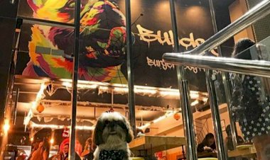 'Sarau da DiverCidade' debate a diversidade de gêneros em Manaus