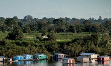 Natura lança aliança de empreendedorismo na Amazônia promove a economia de floresta em pé