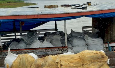 Policiais da Base Arpão apreendem 8,9 toneladas de pirarucu ilegal