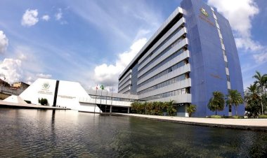 Projeto do 'Dia do Animal Sem Raça Definida' causa saia justa entre deputados