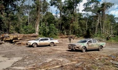 MPF recomenda ao Incra medidas para retirada de ocupantes ilegais de terras no AM