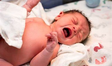 Diferença entre nascimentos e óbitos volta a crescer em março no Amazonas