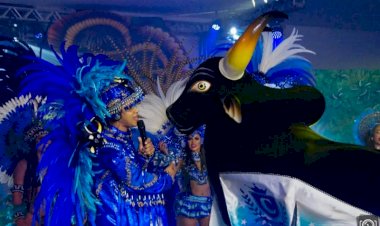 Boi Caprichoso retoma edital de toadas para álbum volume 2