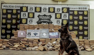 Denarc apreende 600 quilos de maconha do tipo skunk em Manacapuru