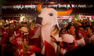 Garantido intensifica preparação para a live da Alvorada