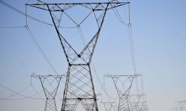 Eletrobras tem lucro líquido de R$ 1,6 bilhão no primeiro trimestre