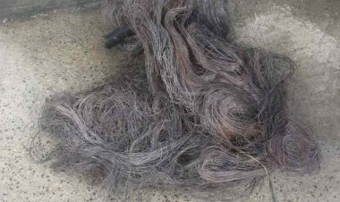 PM detém homem flagrado com cabos telefônicos roubados no bairro Morro da Liberdade