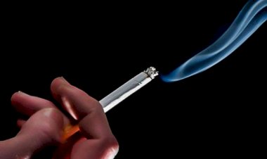 Into alerta sobre efeitos prejudiciais do tabaco no esqueleto humano