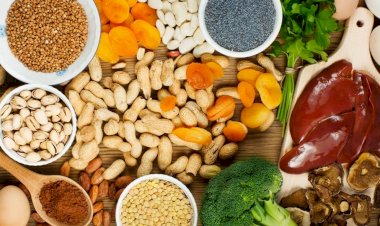 Dieta rica em ferro pode ajudar no combate à anemia