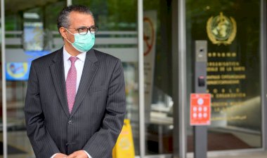 OMS afirma que China deve fornecer dados sobre origens da covid-19