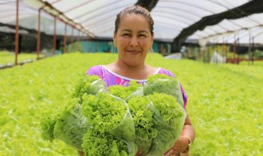 No Dia do Agricultor, Governo do Amazonas destaca investimentos e avanços no setor rural