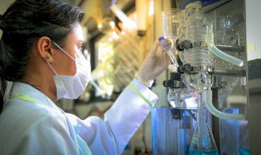 Edital Fapeam: Governo do Estado apoia estudantes em cursos de pós-graduação fora do Amazonas