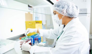 Edital da Fapeam estimula fixação de mestres e doutores no interior do Amazonas