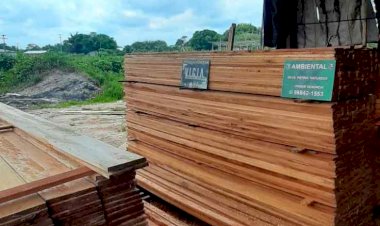 PM apreende madeira ilegal em ação em Manacapuru