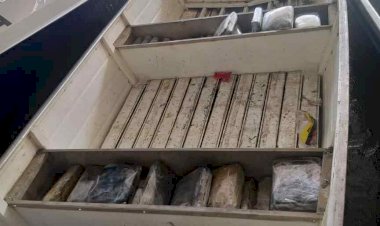 Polícia Militar apreende 82 quilos de entorpecentes em Maraã