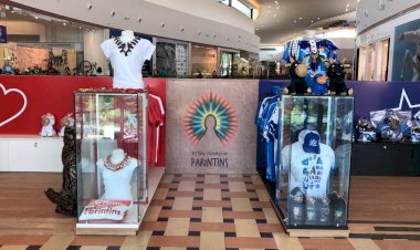 Produtos de Garantido e Caprichoso Ganham Destaques