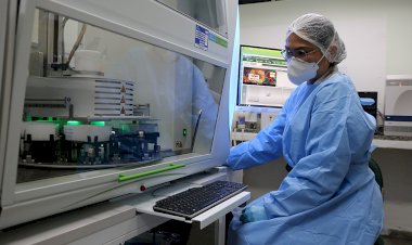 Boletim epidemiológico da Covid-19 no Amazonas é divulgado pela FVS-RCP, nesta quarta-feira (10/11)