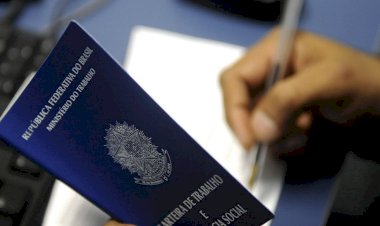 IBGE: desemprego cai para 11,6% em novembro