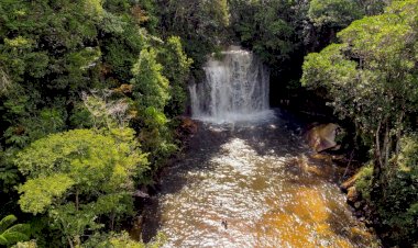 Três lugares imperdíveis no Amazonas para conhecer no feriado do carnaval